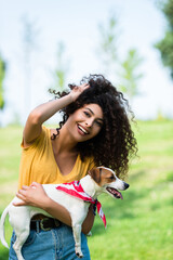 joyful, brunette woman touching curly hair while holding jack russell terrier dog