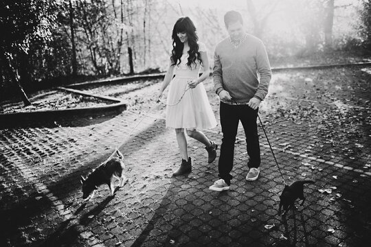 cute couple walking dogs