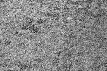 Old pine needles on a rough rock surface in black and white. High resolution full frame textured background, top view. Viewed from above.