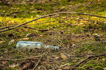 Bottle of water in a forest - Garbage in the forest