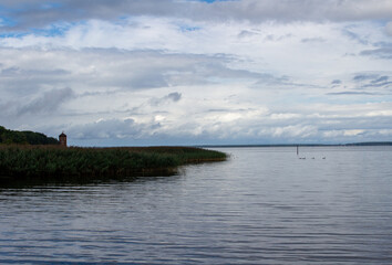 Ausblick vom Strand mit Schilf auf See Ostsee