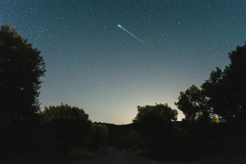 Night sky and shooting star above the trees