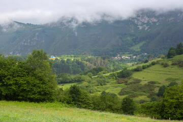 Picos de Europa