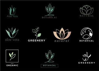 Natural icon packs or logos for tree and mountain themed branding are suitable for your current company, easy to edit and customize, add your brand or company name