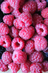 close up of raspberries
