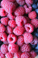 close up of raspberries