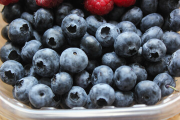 blueberries in a bowl