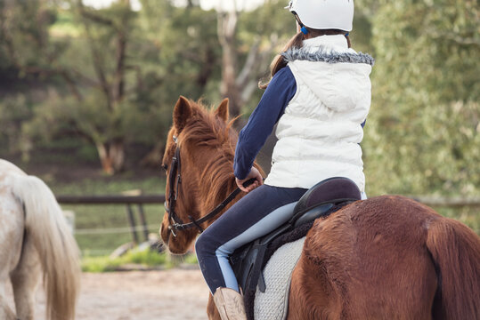 horse riding lesson