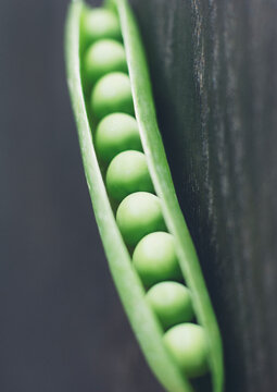 Green peas in pod