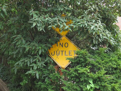 A no outlet traffic sign covered by green leaves and trees