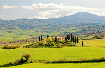 Idyllic landscape of Tuscan countryside, with farmhouses surrounded by cypress trees on green grassy rolling hills & Monte Amiata under blue clear sky in background on a sunny spring morning, in Italy