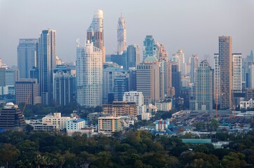 Urban skyline of Bangkok, the vibrant capital city of Thailand, with modern high rise skyscrapers in background and treetops of forests in beautiful Lumphini Park in foreground in early morning light