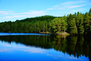 Lake in the forest near Trondheim