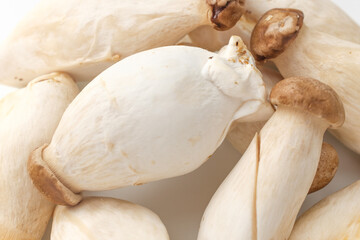 Chibi mushrooms on a white background