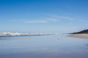 Baltic sea beach on a sunny day 