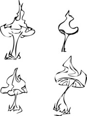 illustration of mushrooms