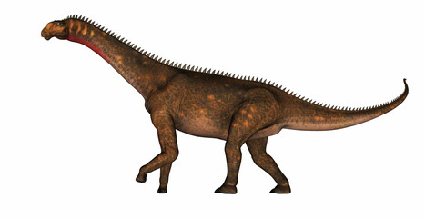 Mierasaurus dinosaur walking isolated in white background - 3D render