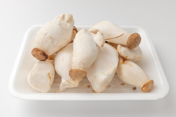 Chibi mushrooms on a white background