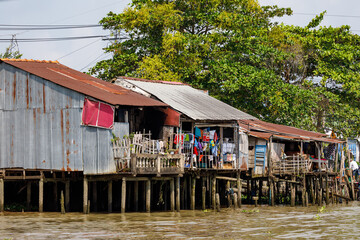 Houses along the Mekong River in Vietnam