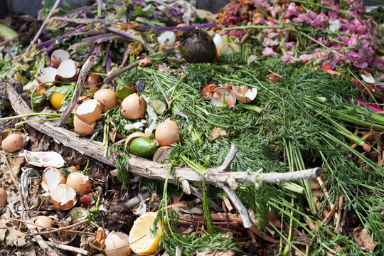 Compost pile on a farm