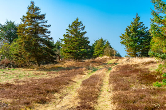 National Park Thy at the north sea coast in Denmark