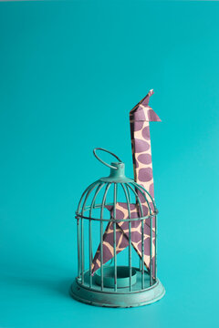 Captive