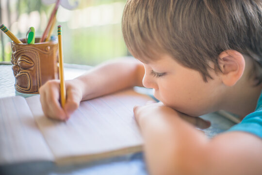 Young Boy Works on School Work