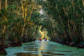 U Minh Forest in the Mekong Delta of Vietnam