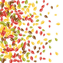 Falling autumn leaves. Red, yellow, green, brown c