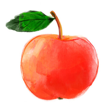 Watercolor drawing red apple isolated on white