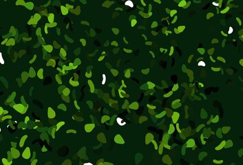 Light Multicolor, Rainbow vector background with abstract forms.