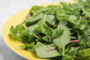 A plate with green salad