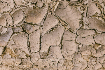 Dried mud background texture