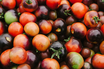 an abundance of fresh heirloom tomatoes