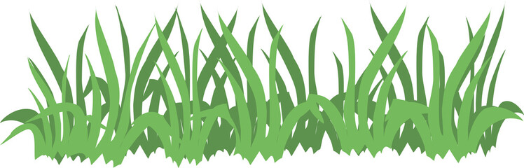 Nature: green grass isolated on white background. Flat infographics. Vector illustration.
