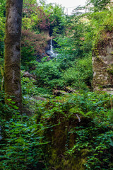 Small waterfall on a hillside in a Luxembourg forest. 