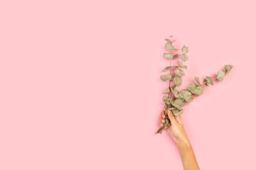 Mano de mujer sosteniendo ramas de eucalipto sobre un fondo rosa pastel liso y aislado. Vista de frente. Copy space. Concepto: naturaleza