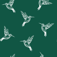 Small white birds on a gently green background Colibri.Contour illustration