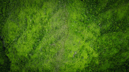 Konahuanui, Koolau Range, Oahu, Hawaii