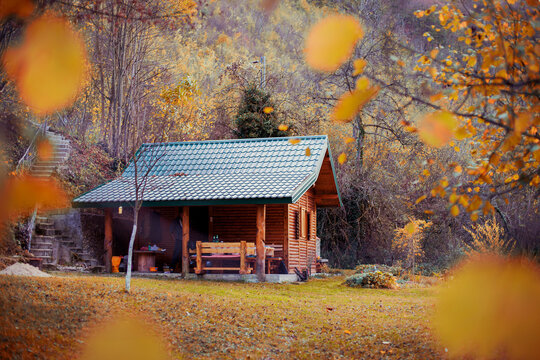 Wooden cottage in the forest