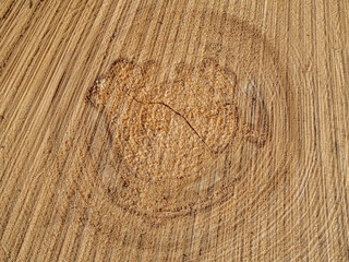 Wood cut concentric texture, wooden background