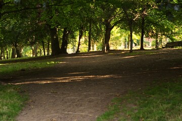 autumn in the park