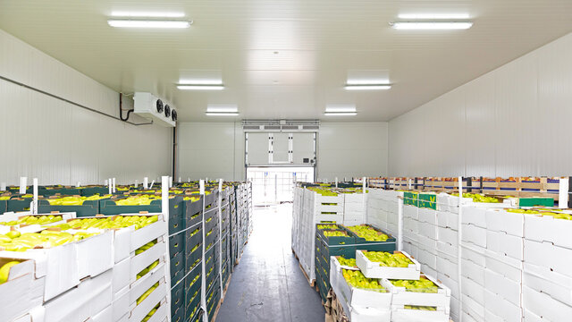 Produce Cold Storage Room Warehouse