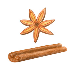 Watercolor cinnamon stick and anise star. Hand painted brown cinamon bark strip with badian spice seed isolated on white background. Plant elements for Christmas decoration, cooking, cuisine