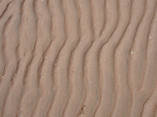 Sand beach surface at low tide texture, nature seashore background