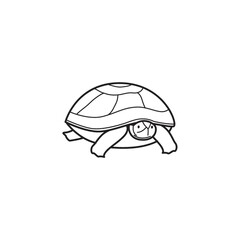 Tortoise