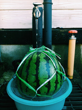water melon