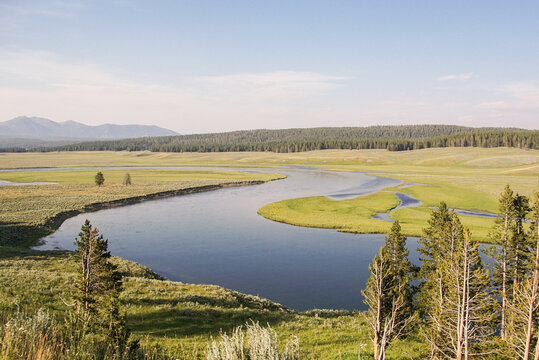 Beautiful Yellowstone national park river scene
