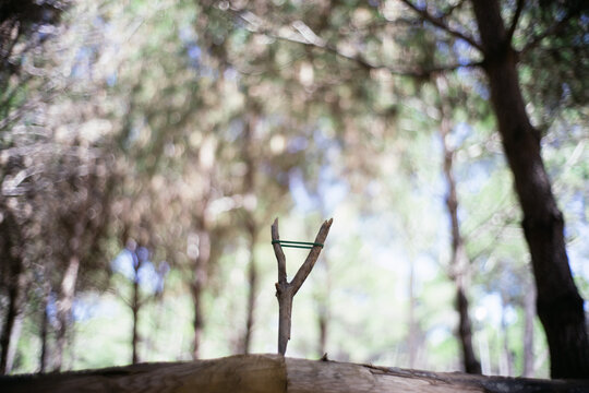 Slingshot