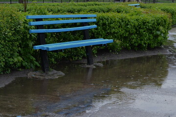 Fototapeta na wymiar puddle near a blue painted wooden bench under rain near bushes